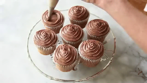 giphy-4.gif