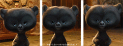 giphy-8