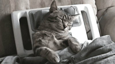 giphy-4.gif