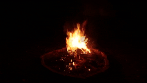 giphy-6.gif